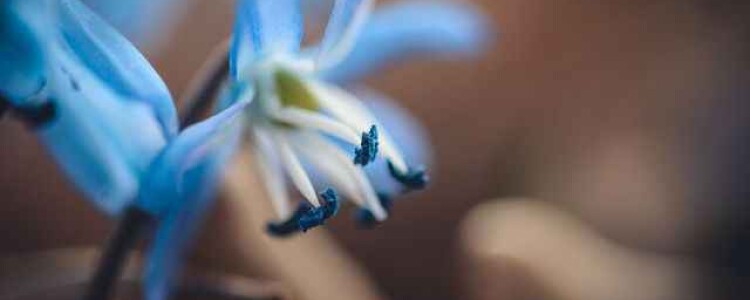 Преимущества и недостатки ношения корсета.