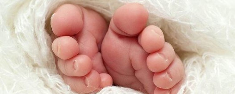 Врач Penn Medicine возглавит противодействие раку «Команда мечты» по борьбе с раком поджелудочной железы