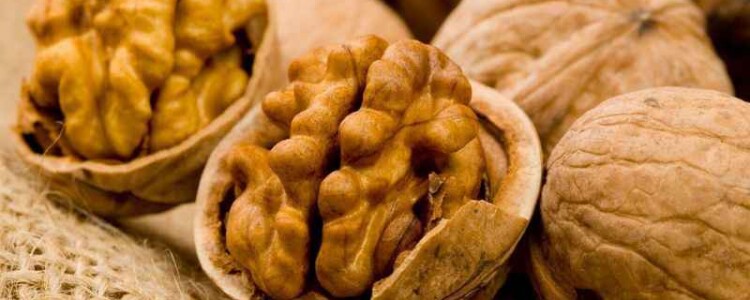 Преимущества металлочерепицы и профнастила: прочность, долговечность и эстетика