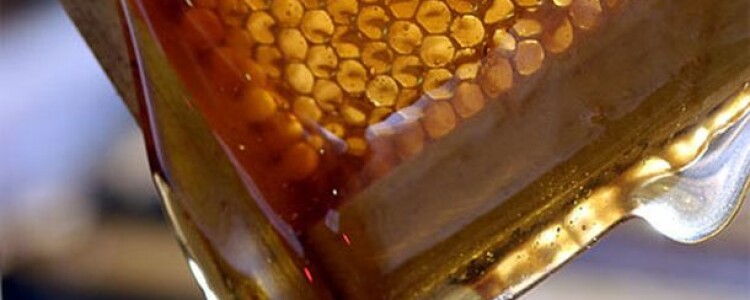 Токсикоз при беременности