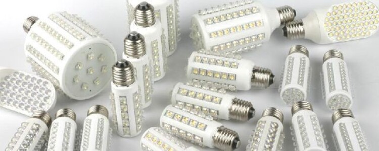 Исследование нейронной активности показывает, что мозг обрабатывает прямую речь и ее эхо отдельно