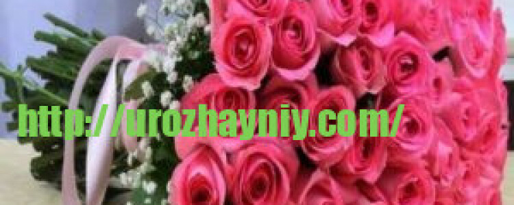 Исследование: тхэквондо улучшает саморегуляцию у младших школьников