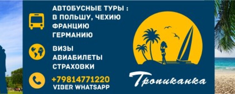 Одной дозы алкоголя достаточно, чтобы изменить мозг