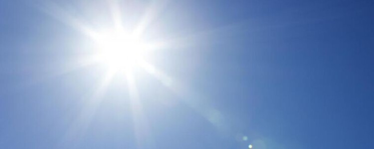 Жаркое из баранины