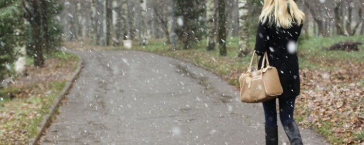 Виноград увеличивает разнообразие биома кишечника и снижает уровень холестерина