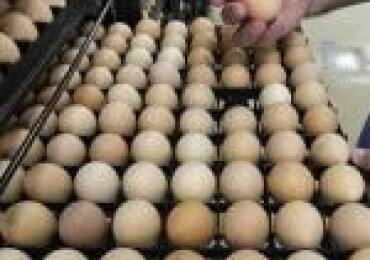 Аппаратная косметология: что работает, как выбирать процедуры и не жалеть потом