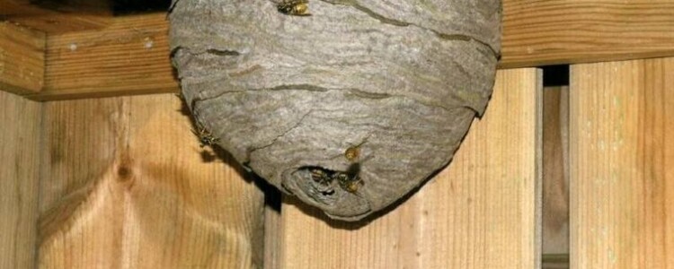 Капельницы для детоксикации при алкогольной интоксикации: эффективное средство борьбы с запоем