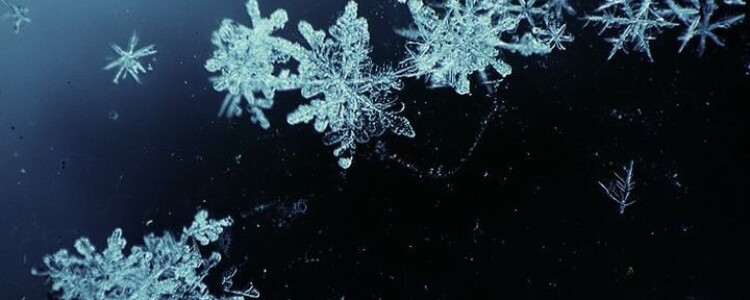 Семимесячные дети уже обладают чувством симметрии