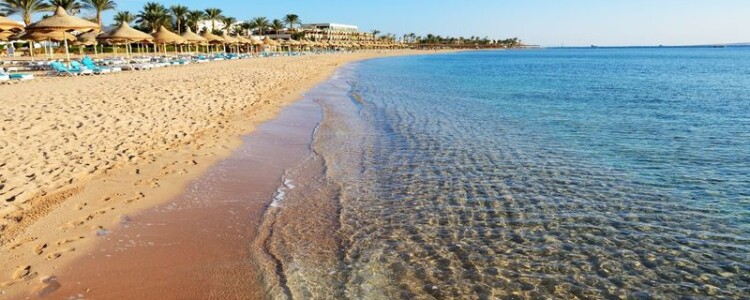 Преимущества заказа подбора IT-специалистов: Оптимизация бизнеса через профессиональный рекрутинг