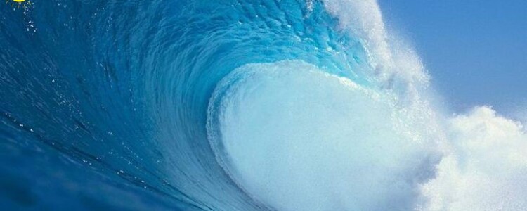 «Виртуальная биопсия» использует ИИ, чтобы помочь врачам оценить рак легких