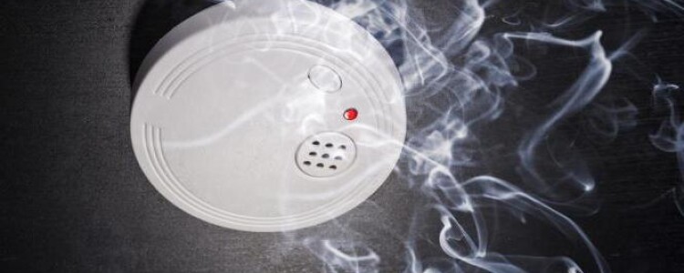 Исследование показывает, что грудное молоко инфицированных COVID матерей обеспечивает младенцев антителами