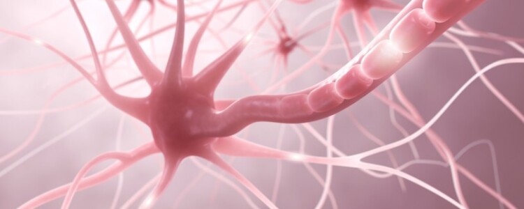 Шлицевые и замковые гайки