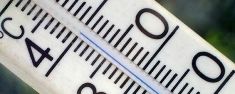 Защитись от укусов  компьютерной  мышки