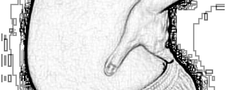 Преимущества Частного Медицинского Учреждения: Забота, Качество, Комфорт