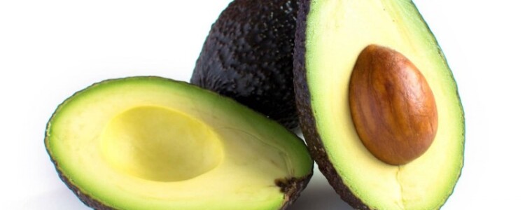 Два открытия способствуют развитию органоидов следующего поколения