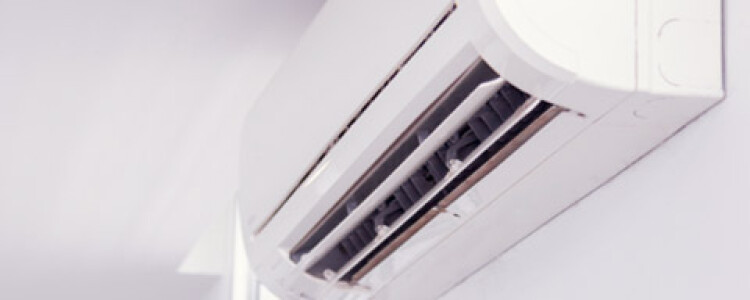 Нарушение мозговых часов предрасполагает нервные клетки к нейродегенерации