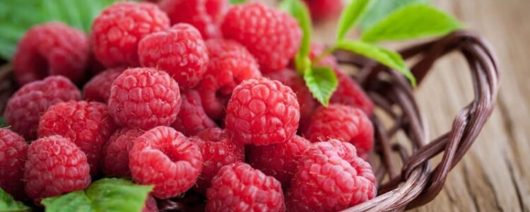 Доказано, что прививка от гриппа защищает от серьезных последствий COVID-19