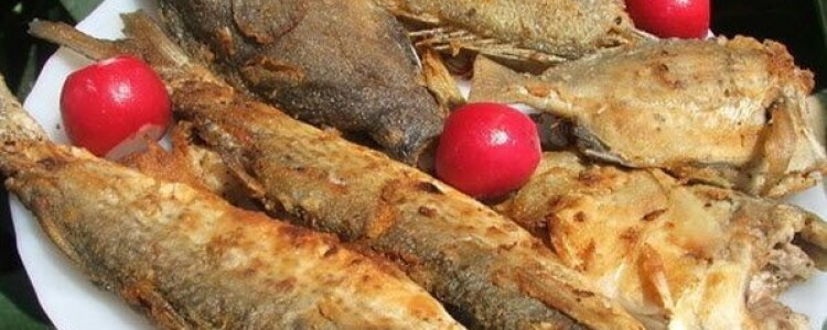 Данные онлайн-поиска могут быть использованы для более раннего выявления случаев гинекологического рака