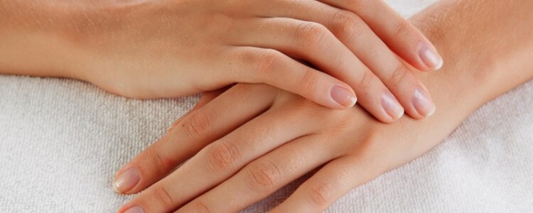 Португальские исследователи разработали первый прототип, который применяет ИИ для диагностики колоректального рака