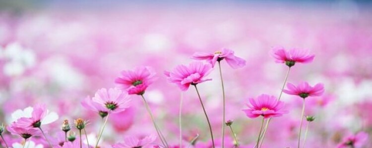 Миглустат улучшает глотание у детей и подростков с болезнью Ниманна-Пика типа С1