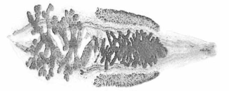 Формирование Вкусовых Предпочтений: Как Сериалы Расширяют Культурный Горизонт Зрителя