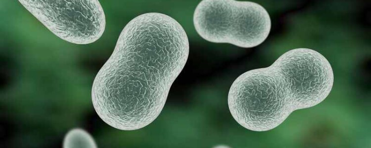 Исследователи открыли новый ген, ответственный за первичную лимфедему.