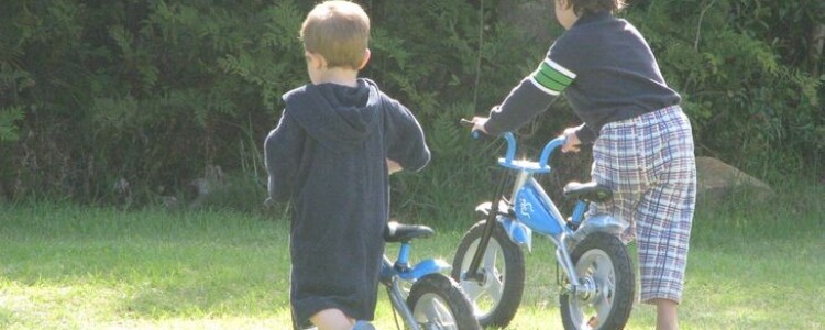 Исследователи обнаружили защиту ключевого датчика ДНК в системе врожденного иммунитета.