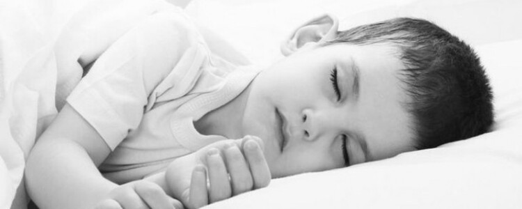 Надёжный выбор: преимущества покупки земельного участка в Московской области