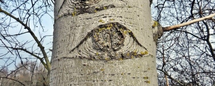 Признаки замершей беременности