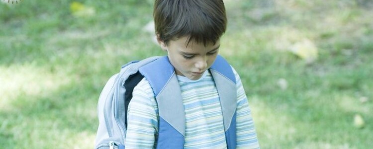 Каковы преимущества и недостатки  от дистанционного обучения на юриста?