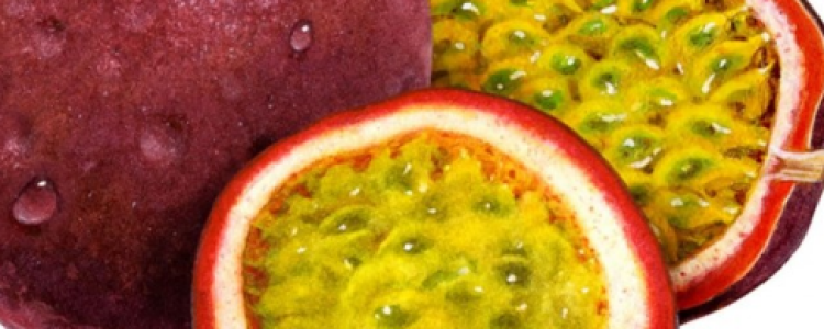 Носимая технология измеряет умственную активность через кожу