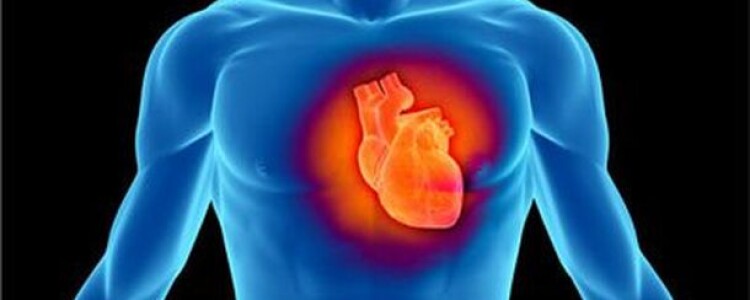 Бесплатный доступ к знаниям: Преимущества Открытой Интернет-Энциклопедии РУВИКИ