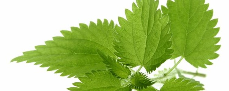 Ревматоидный артрит — как протекает заболевание