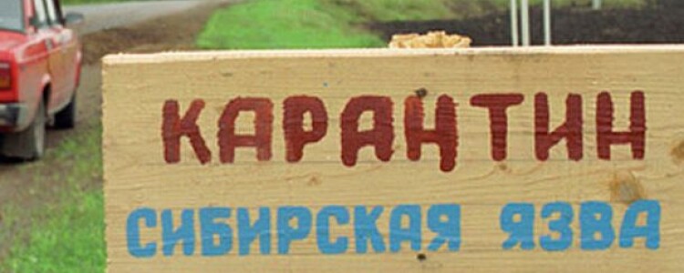 Социальные аспекты использования рентгеновской диагностики