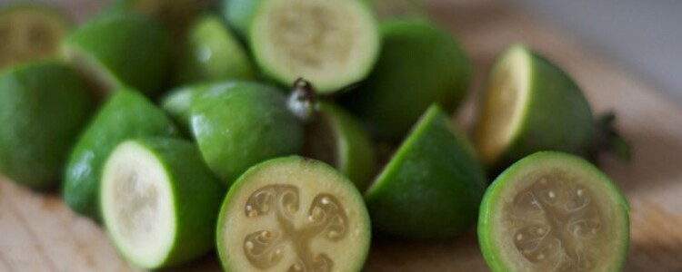 Исследование подчеркивает ценность программы «Клиника синдрома Дауна для вас»