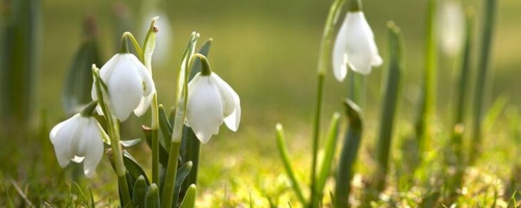 Исследование определяет генетический риск сердечно-сосудистых заболеваний у пациентов.
