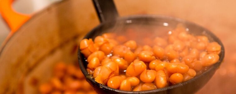 Исследователи, разрабатывающие умные зубные имплантаты, препятствующие росту бактерий, вырабатывают собственное электричество.