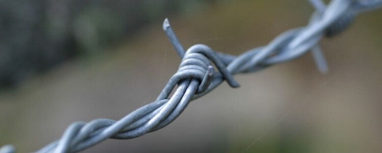 Ожирение может вызвать повышенный риск заболевания почек