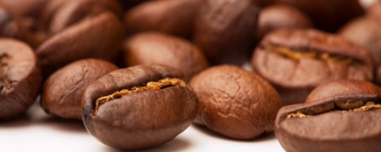 Плохая пространственная навигация может предсказать болезнь Альцгеймера за годы до появления симптомов