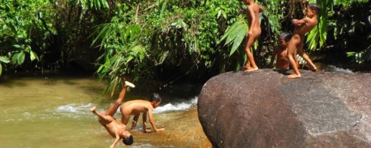 Исследование обнаруживает связь между хроническим употреблением опиоидов и изменениями клеток мозга и ДНК