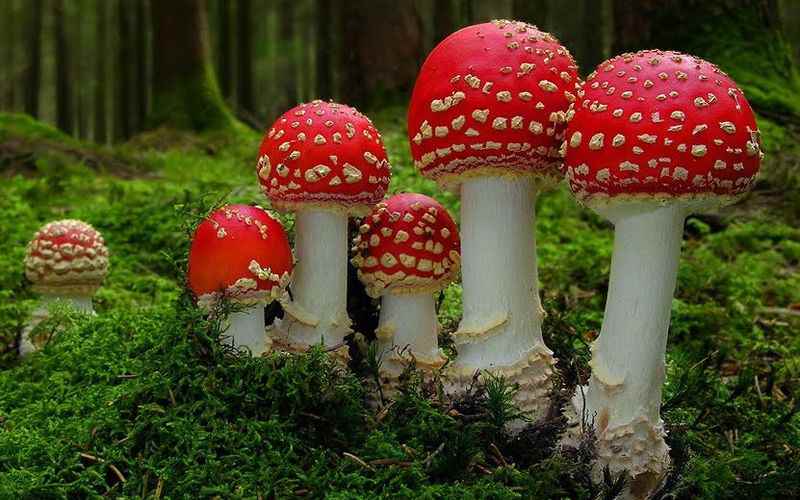 Лечение компрессами