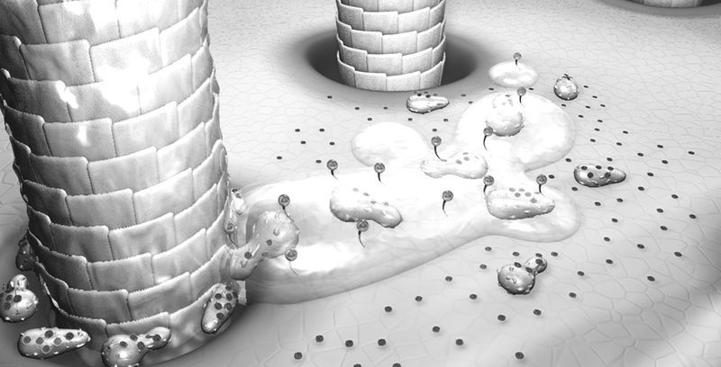 перхоть картинки