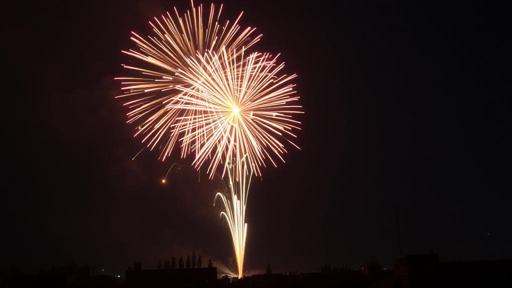 firework fireworkфото
